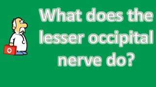 What does the lesser occipital nerve do   Best Health FAQ Channel [upl. by Harli711]