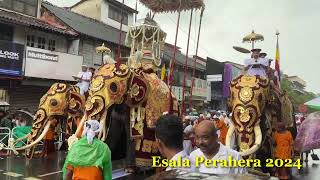 Esala Perahera 2024 9 esalaperahera srilanka kandy [upl. by Atinrehs]