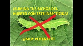 INSECTICIDA CASERO PARA PLANTAS 🐛 ELIMINA ORUGAS ARAÑA ROJA PULGÓN APICHI INSECTICIDA ORGÁNICO [upl. by Chelsea]