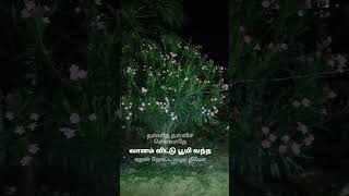 trending pookal vedi lyrics love musica [upl. by Assenay]