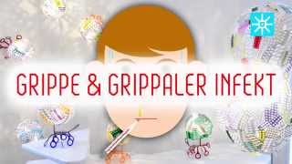 Grippe und grippaler Infekt ÖGS [upl. by Paryavi]