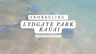 Discover the Underwater Paradise Snorkeling at Lydgate Park in Kauai Go Pro Video [upl. by Retrop]