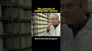 The process of making blue cheese bluecheese shorts [upl. by Damicke281]