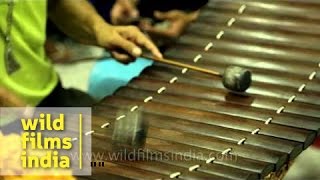 Thai xylophone being played by musician  Erawan Shrine Bangkok [upl. by Vandyke222]