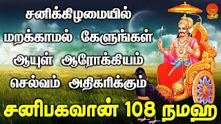 சனிக்கிழமை சனீஸ்வரர் மந்திரத்தை காலை மாலை கேளுங்கள்  Om Saneeswaraya  Bhakthi Yathirai [upl. by Elorak]