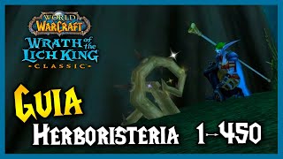 GUÍA subir HERBORISTERIA 🌱 1  450  RUTAS de FARMEO  WoW WotLK Classic [upl. by Dionisio]