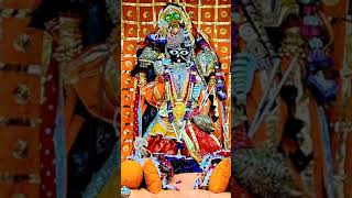 Shri Ranchhodraiji live Darshan Dakor Temple [upl. by Teryn]