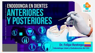 Endodoncia en dientes anteriores y posteriores  Tu Salud Guía [upl. by Bartley682]