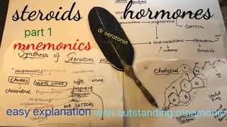 steroids hormones synthesis Mnemonicsdr serotonin [upl. by Trainer806]