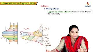 17 Dermatomes of Upper Limb Anatomy  MBBS Lecture [upl. by Ahsinet]