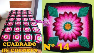 Como tejer el Cuadrado o muestra de colores N° 14 a crochet para colchas y cojines paso a paso [upl. by Bridget]