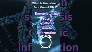 What is the primary function of DNA  biology shortsvideo shortquizvideo [upl. by Charlean]