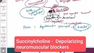 Succinylcholine  Depolarizing neuromuscular blockers neurology 170  First Aid USMLE Step 1 [upl. by Noiz]