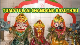 TUMA TULASI CHANDANA BASUTHAU namitaagrawal siddharthmusic [upl. by Aineg]