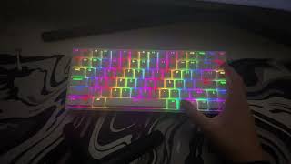 Testing my rk61 keyboard [upl. by Annaiviv]