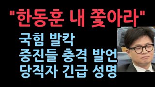 尹탄핵 주장한 한동훈에게 쏟아진 폭풍비난 quot직무정지는 尹 아닌 한동훈quot [upl. by Muhcon]