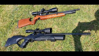 Walther Rotex RM8 vs Air Arms s200  which rifle is better [upl. by Mohkos]