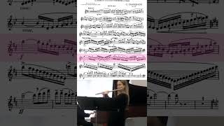 flute players are obsessed with this piece 🥰 flute classicalmusic [upl. by Wane]