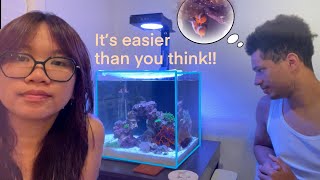 WE MADE A NANO NOFILTER REEF TANK FOR SOME CLOWNFISH Nano Reef Ep 1 hardscape and fish [upl. by Anyer]