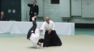 HORII Etsuji  57th All Japan Aikido Demonstration 2019 [upl. by Yeltnarb]