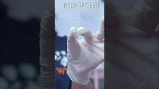 How to prepare a veterinary urine sediment sample veterinary clinicalskills vetacademy shorts [upl. by Vi492]