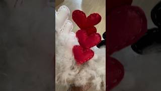 How to Sew Felt Fabric Hearts Easy diy shorts [upl. by Annabela]