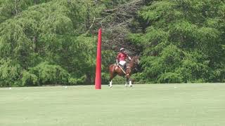 Ellerstina Flamboyant vs La Dolfina [upl. by Cliffes]