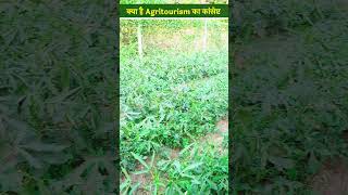 क्या है Agritourism का Concept कैसे हो रहा है प्राकृतिक संरक्षण Farming  Natural Tourism shorts [upl. by Rosena]