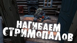 DayZ Standalone  Russian Mafia  Нагибаем стримопалов [upl. by Ablem]