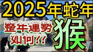 【古柏論命  張古柏】2025年乙巳年12生肖整年運勢透析 –猴 [upl. by Cower]