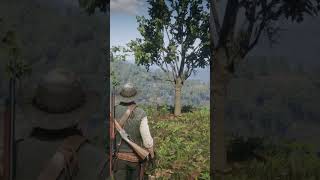 Red Dead 2 Miss Grimshaws Grave subscribe shorts reddeadredmption2 xboxseriesx sub gameplay [upl. by Ayatahs]