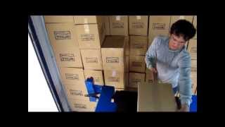 EZveyor Unloading Cartons from Container [upl. by Vanhomrigh902]