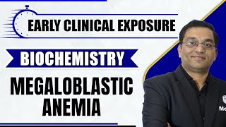 Megaloblastic Anemia  Early Clinical Exposure  Biochemistry  MBBS  Dr Rajesh [upl. by Irahk]