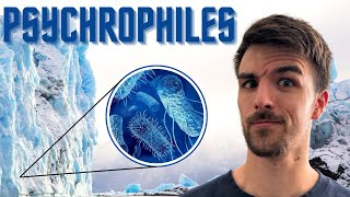 What’s Up With Psychrophiles Cold Extremophiles [upl. by Gautea465]