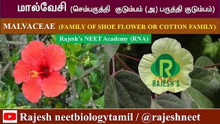 Malvaceae  Newly Added Plant families Rajesh NEET Academy RNA rajeshneet RNBT [upl. by Nonnahsal]