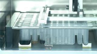 Xiamen Zeesan Lab Aid 824 Nucleic Acid Extraction System [upl. by Nryhtak]