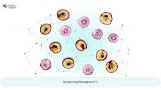 What is Memophenol™ [upl. by Iem622]