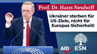 Darum geht es im UkraineKrieg wirklich – Prof Dr Hans Neuhoff AfD [upl. by Gaultiero]