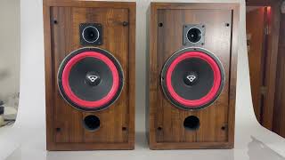 Vintage Cerwin Vega D2 Speakers  Cosmetic Condition [upl. by Sibell]