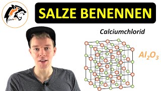 Salze benennen Nomenklatur  Chemie Tutorial [upl. by Mulcahy]