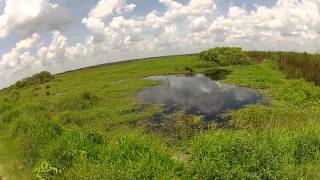 Hiking at Paynes Prairie Preserve [upl. by Armalda87]