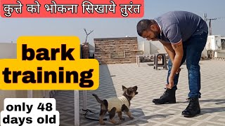 Puppy bark training  dog bark training in hindi जर्मन शेफर्ड पप्पी को भोकने की ट्रेनिंग कैसे दे [upl. by Deehsar494]