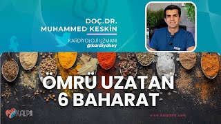 6 Sağlıklı Baharat ve Faydaları [upl. by Yoshi]