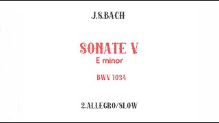 JSBach FLUTE SONATA in E minor BWV 1034accompaniment 2ALLEGRO SLOW [upl. by Nottirb481]