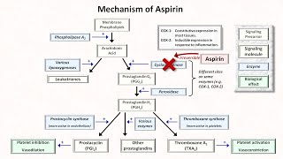 Hemostasis Lesson 5  Antiplatelet Meds Part 1 of 2 [upl. by Atnovart257]