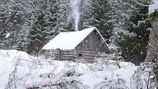 cold winter night in an abandoned hunters log cabin [upl. by Moishe482]