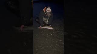 Winter fishing in Alaska fishing fishalaska troutfishing [upl. by Duck]