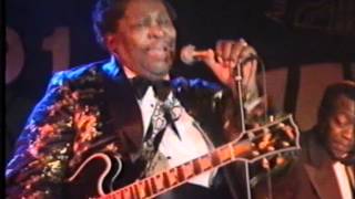 BB King Live in Hamburg 1991 [upl. by Eniamirt]