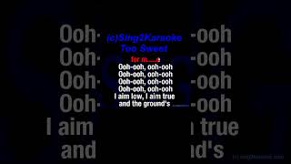 Hozier Too Sweet Karaoke Version Lyrics [upl. by Nalla144]