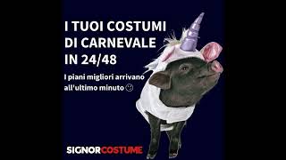 Costumi da Carnevale  Adulti [upl. by Emirac]